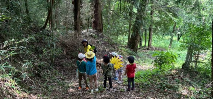 ２０２６年度体験日