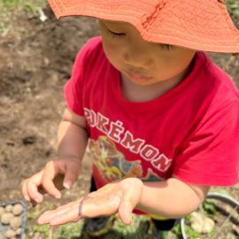 ５月体験日のお知らせ